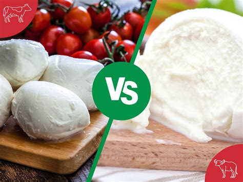 fior di latte vs mozzarella